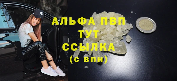 PSILOCYBIN Вязники