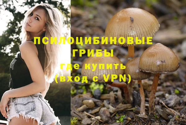 марки nbome Вяземский