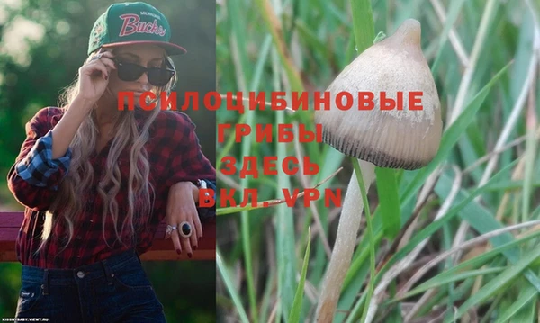 PSILOCYBIN Вязники