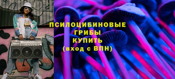 PSILOCYBIN Вязники