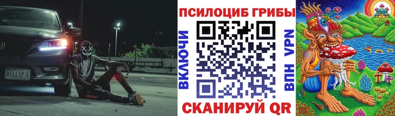 Псилоцибиновые грибы MAGIC MUSHROOMS Георгиевск