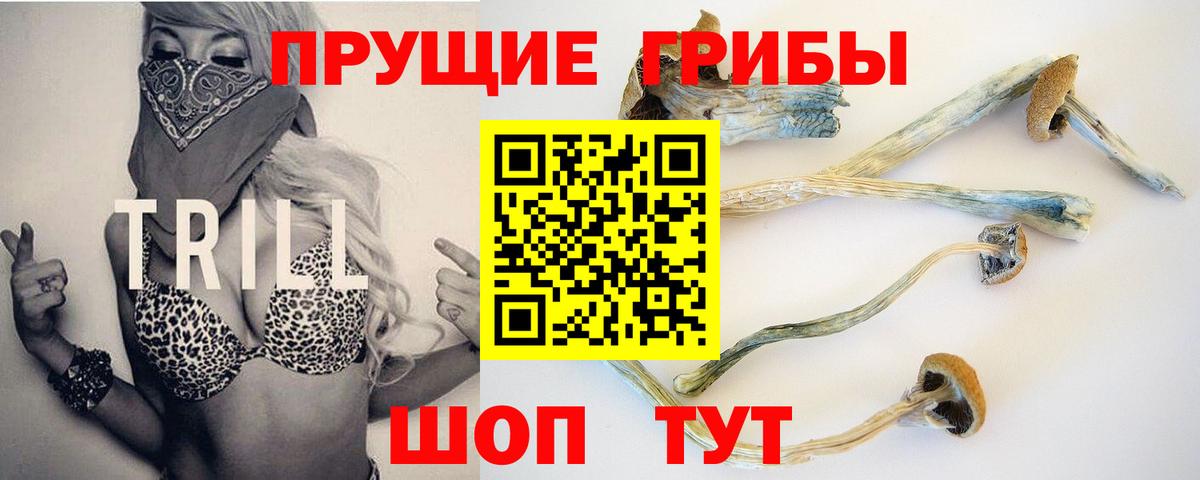 Псилоцибиновые грибы прущие грибы  как найти наркотики  Георгиевск  Вход с VPN 
